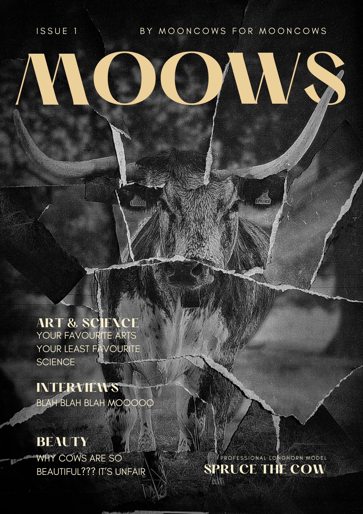 MOOWS issue 1 cover