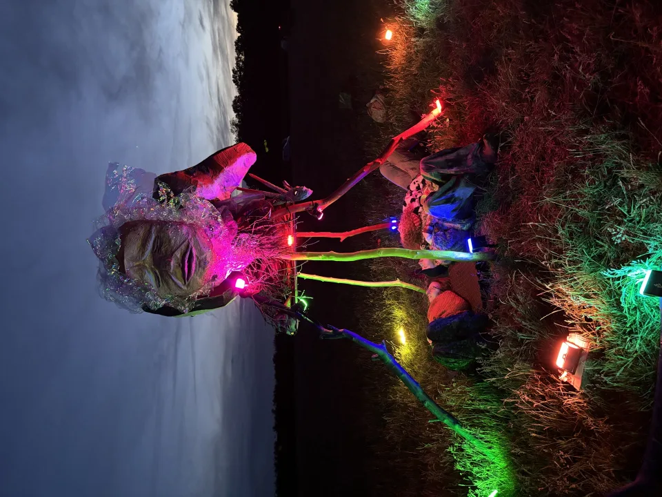 Art and people at Mooncow Fest 2026